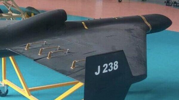    © Фото : Иранское государственное агентство новостей IRNA