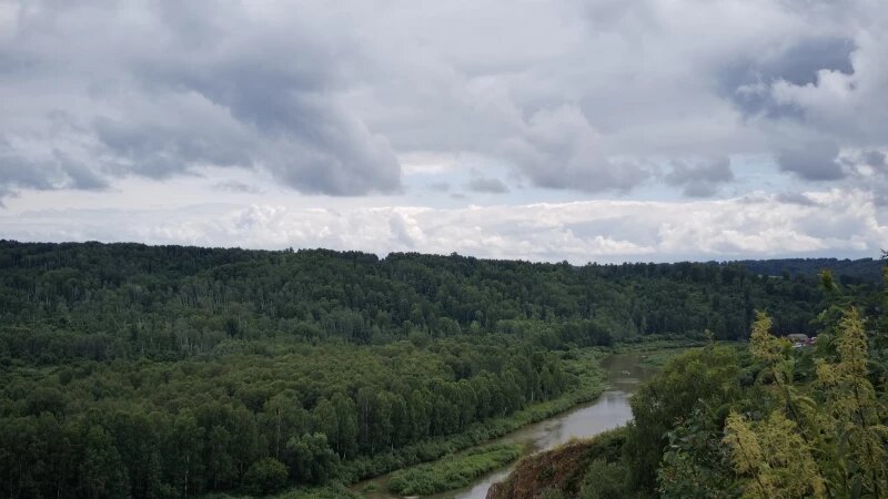     Село Ельцовка Ельцовского района Алтайского края. 2025 год. Altapress.ru