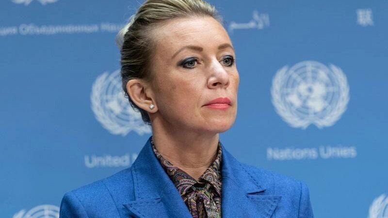    Фото: lev radin / Shutterstock / Fotodom