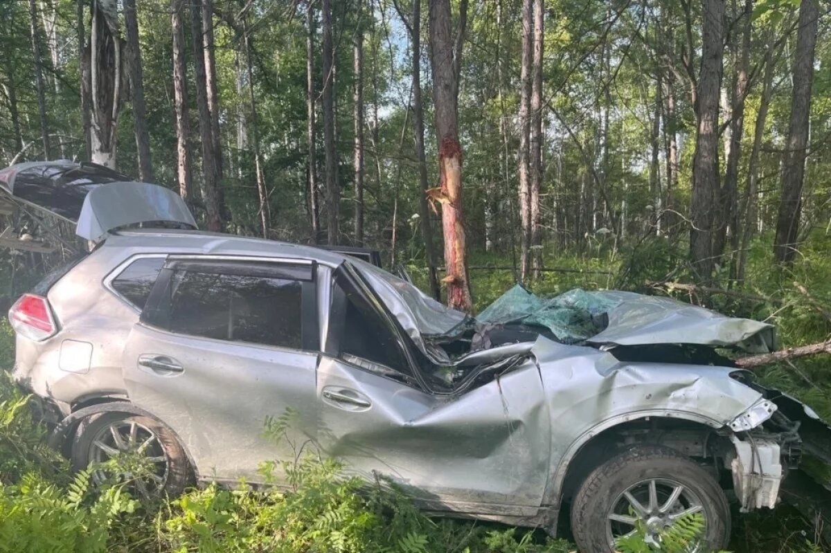    В Хабаровском крае Nissan X-Trail влетел в дерево, водитель в больнице