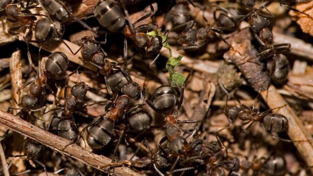    Konstantin Mikhailov/Russian Look/Globallookpress