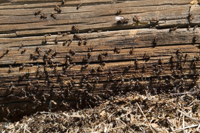    Фото: Valery Lukyanov/Russian Look/Globallookpress