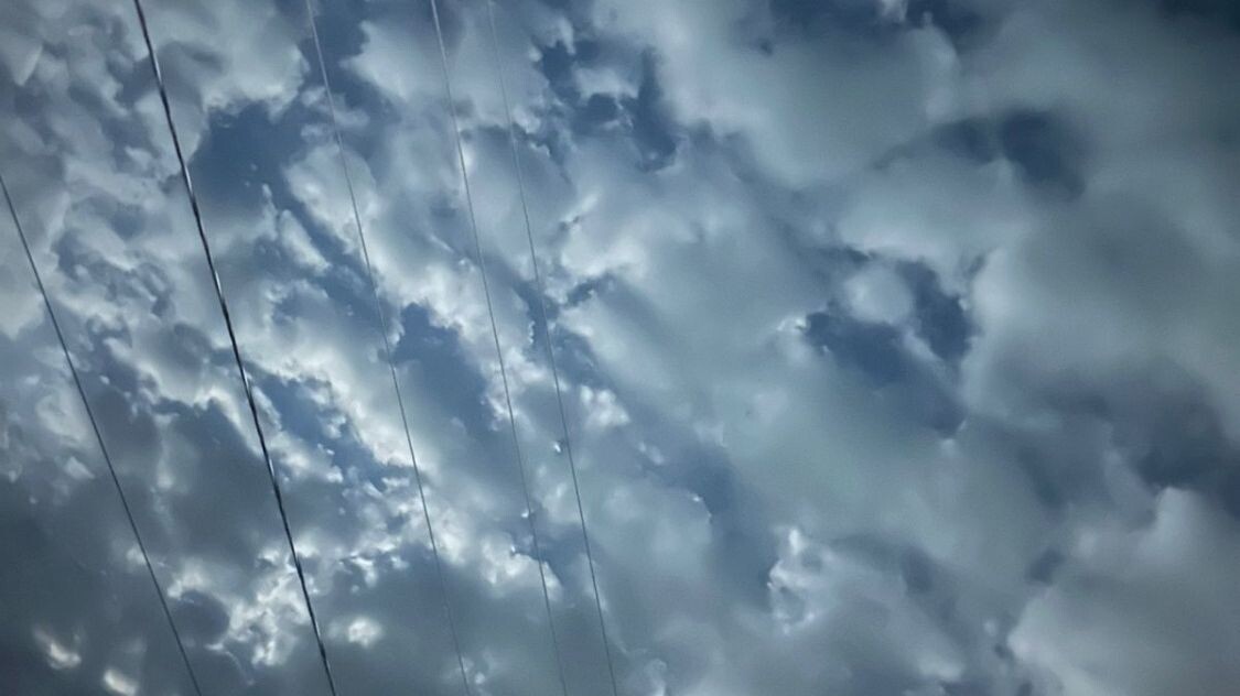     Источник: vostokmedia.com