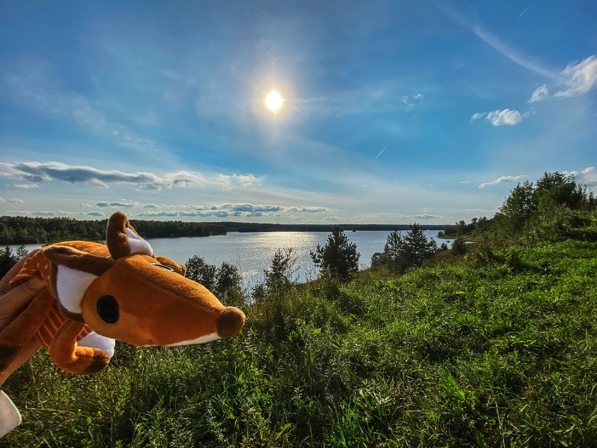По следам Вороны🐦‍⬛©