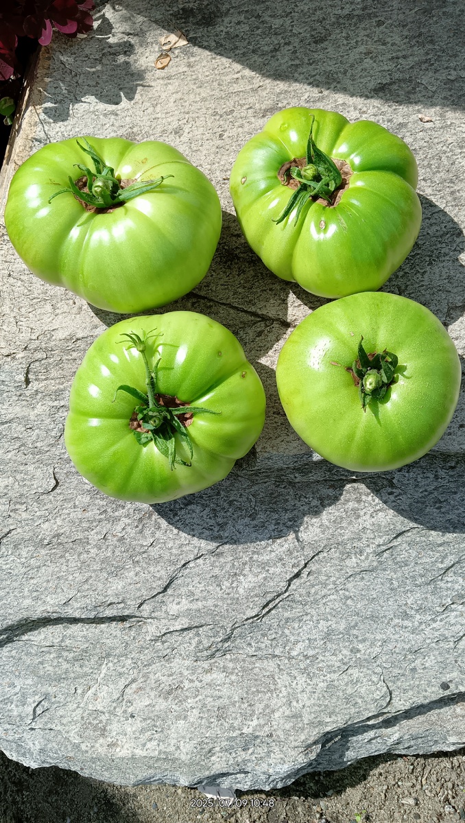 Память. Сняла из-за угрозы растрескиваия.. дожди.