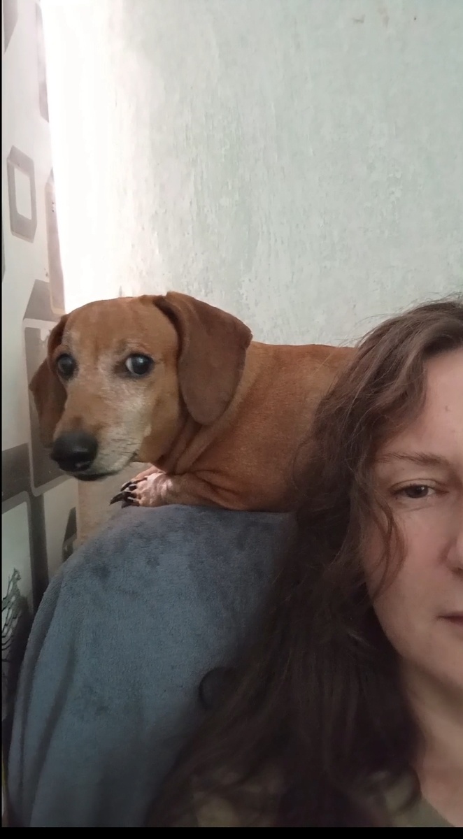 Нет, собака когти стричь не даётся.🤷🏻‍♀️ 