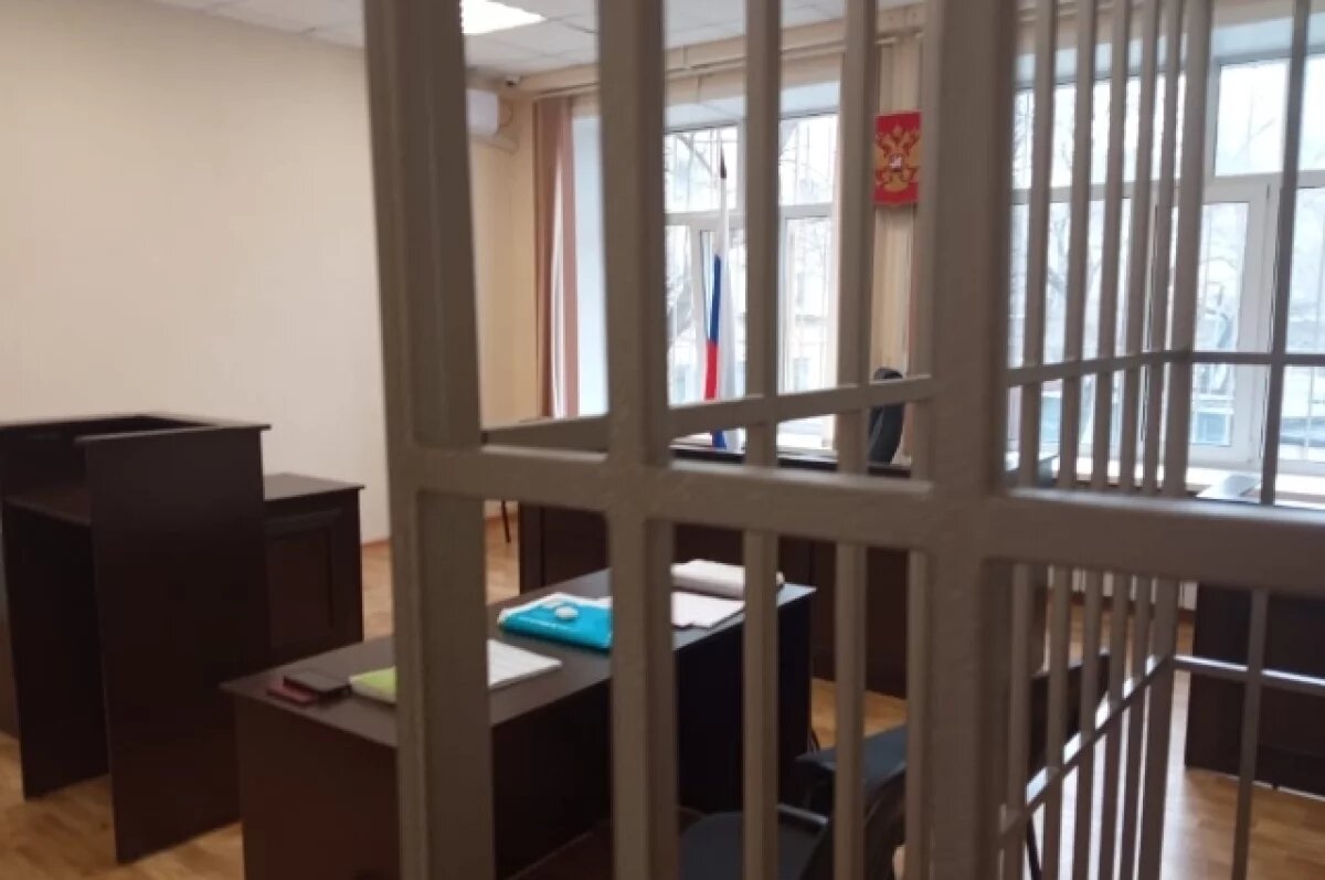    Жителя Камчатки будут судить за насилие, избиение и постиранную собаку