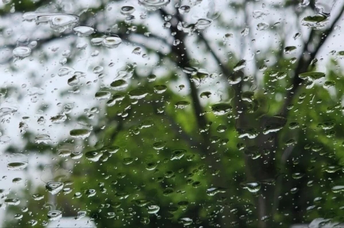    В Новосибирской области в выходные ожидаются грозы, дожди и возможный град