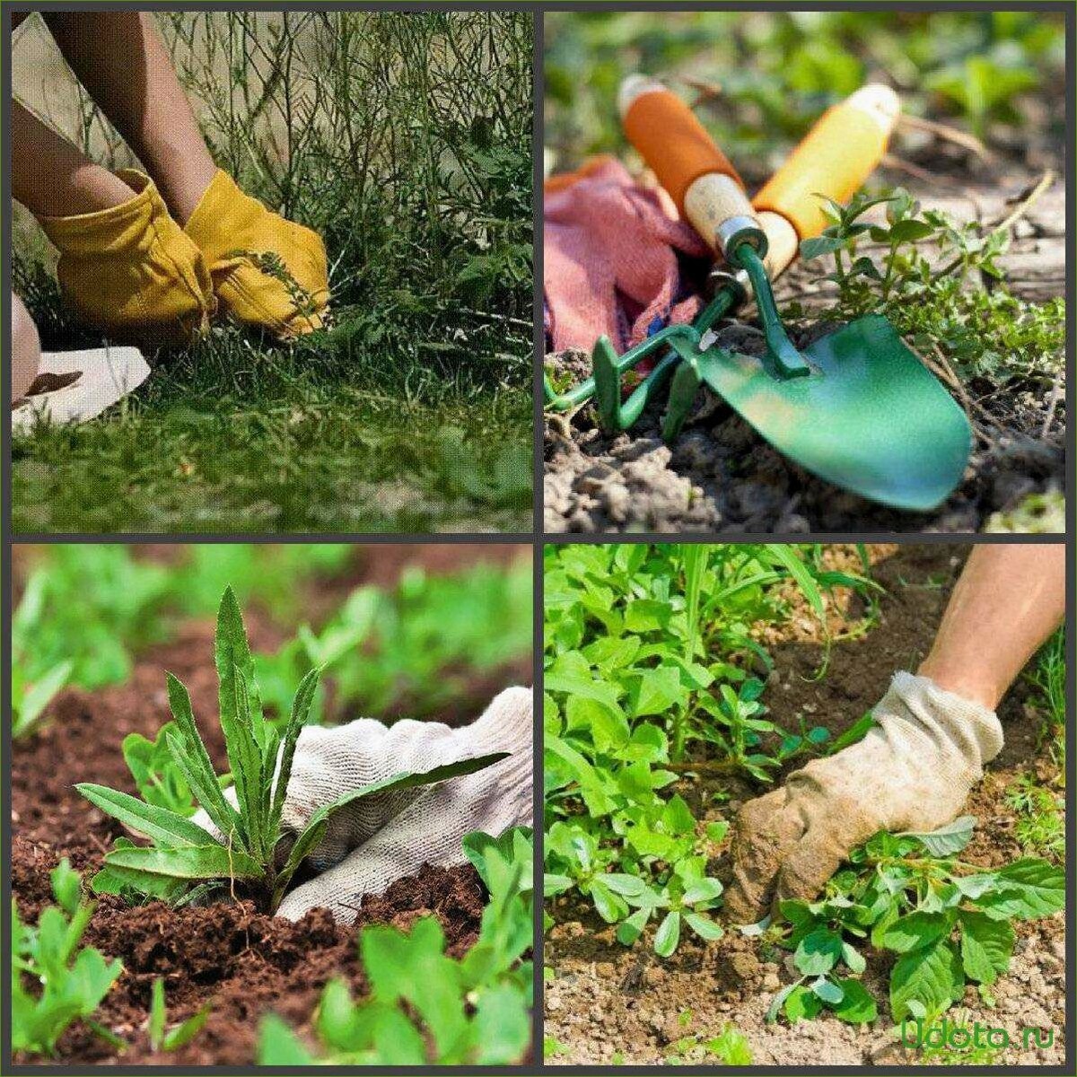 Фото из интернета. Летние работы.