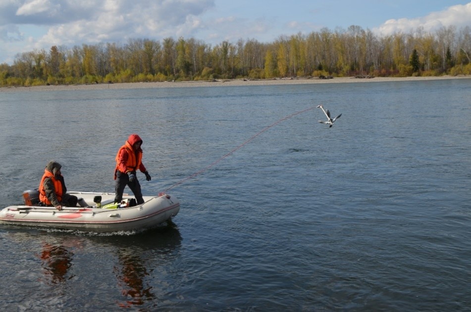Рисунок 2. Промерные работы