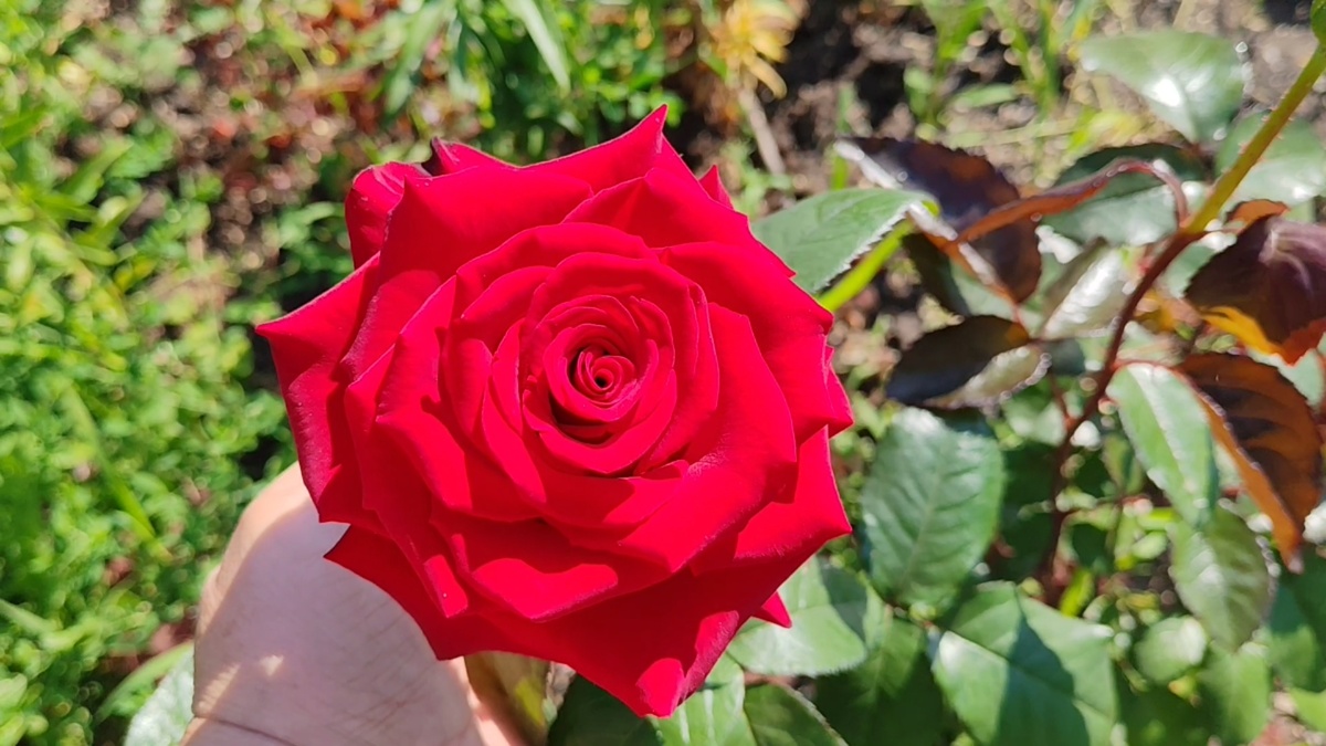 Фото автора статьи.