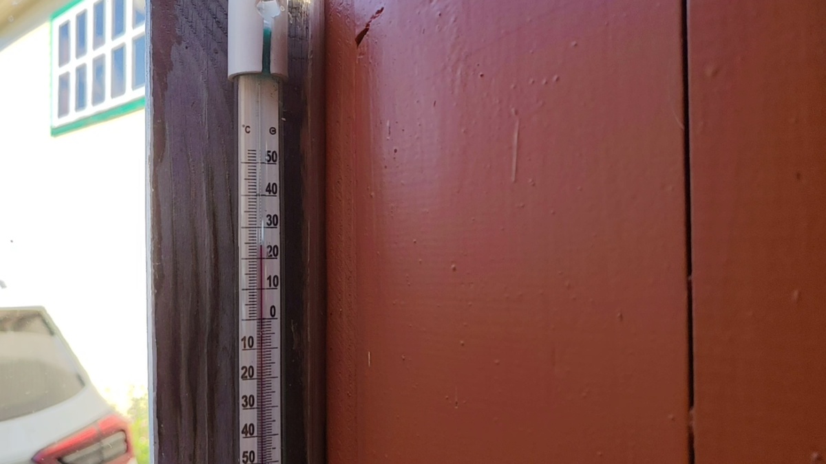 Фото автора статьи.