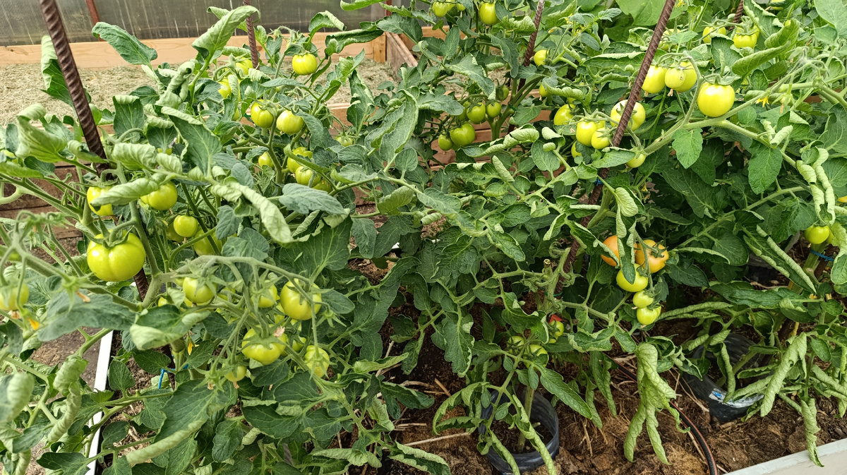 Видимо-невидимо