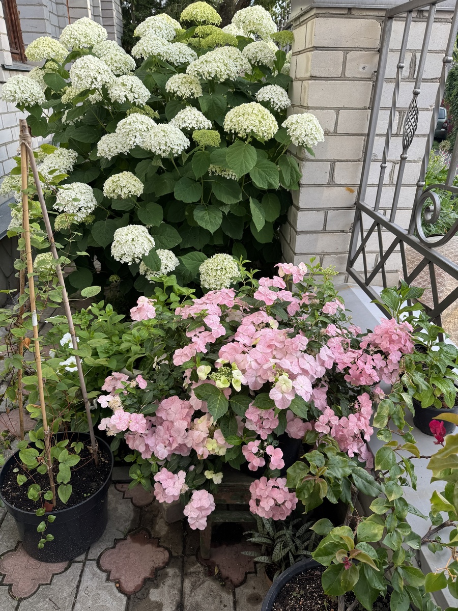 Автор фото: Ольга Руднева