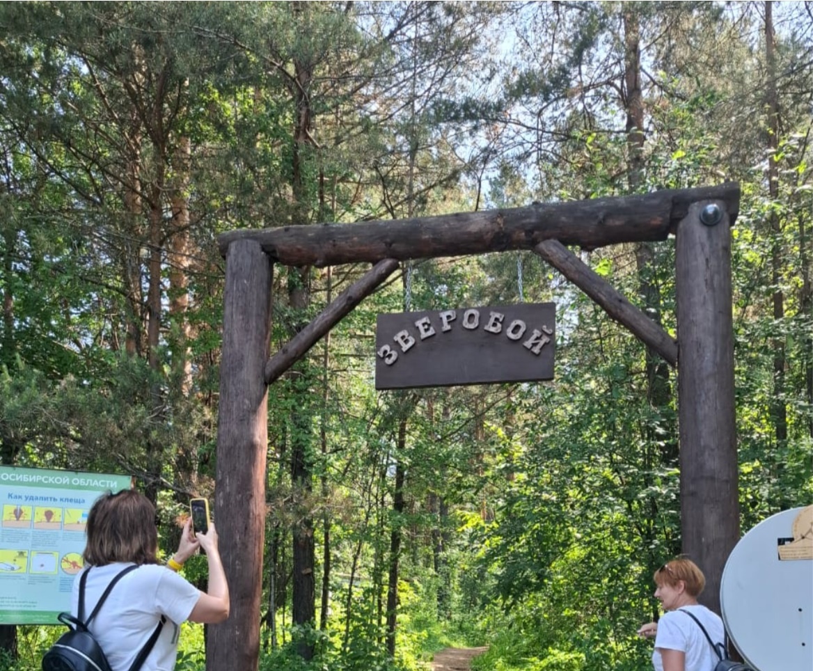 С момента открытия экологической тропы «Зверобой» в 2015 году маршрут постоянно обустраивается. 
