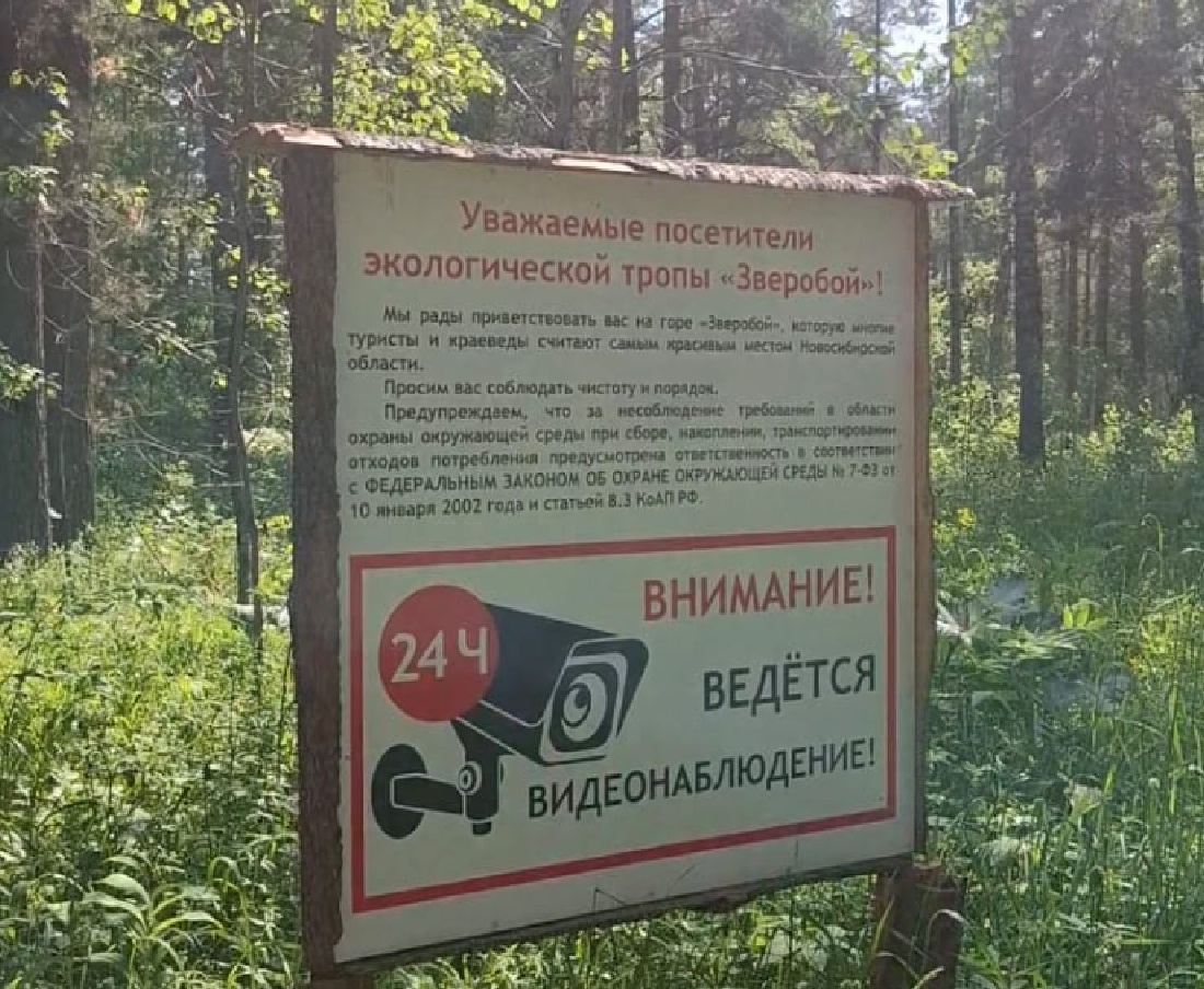 Мы так и не поняли, на каких деревьях там расположились камеры, но видеонаблюдение здесь ведётся.