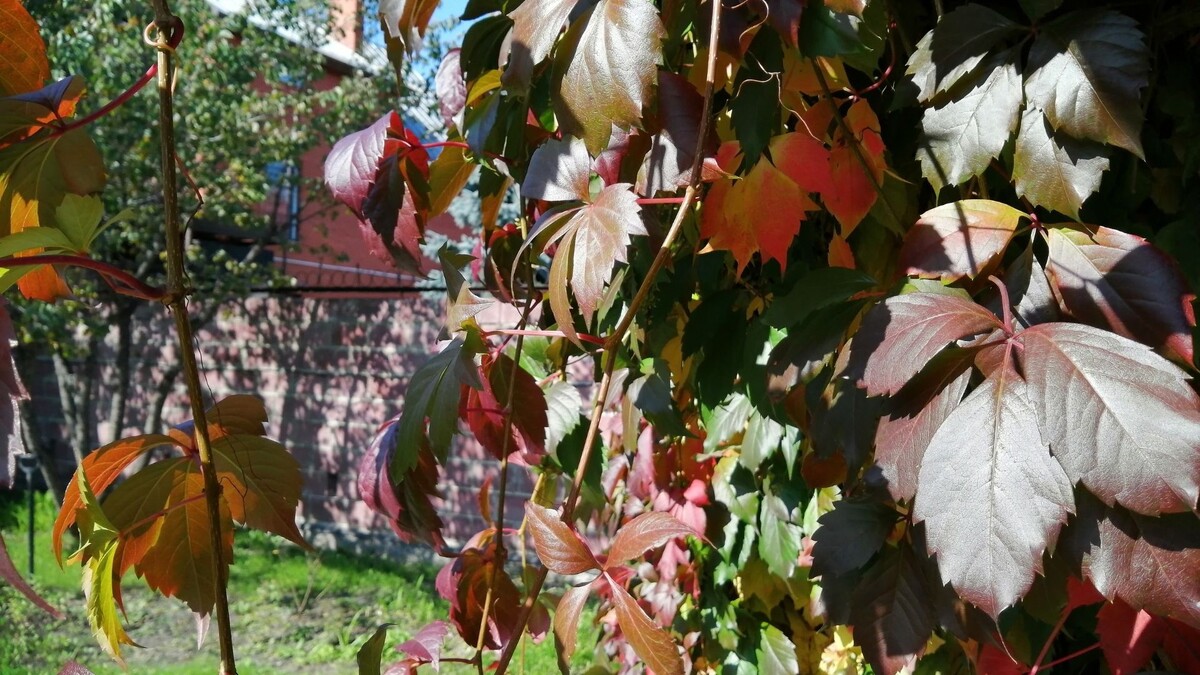     Источник: 1MI