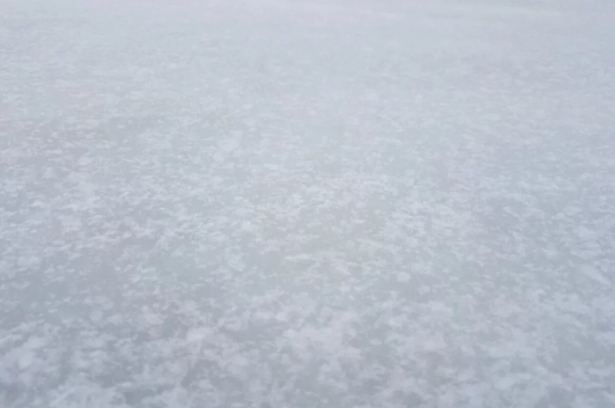    Новосибирская арена «Звездный» тестирует новую ледозаливочную машину