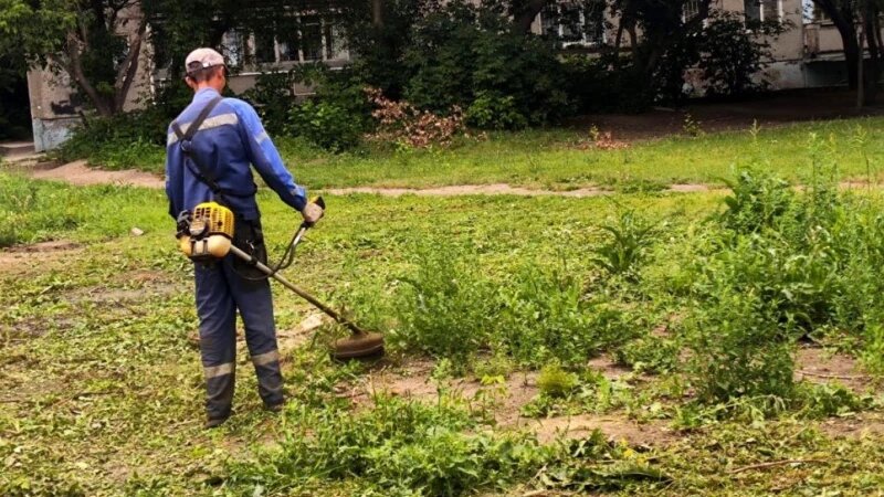     В Барнауле активно ведутся сезонные работы по покосу травы barnaul_org