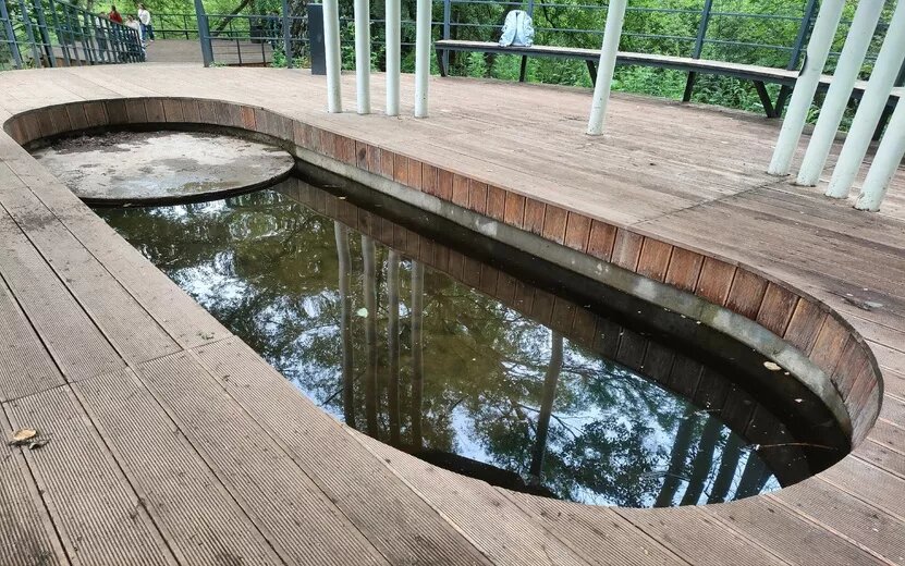    В Березовой роще Ижевска приведут в порядок родник