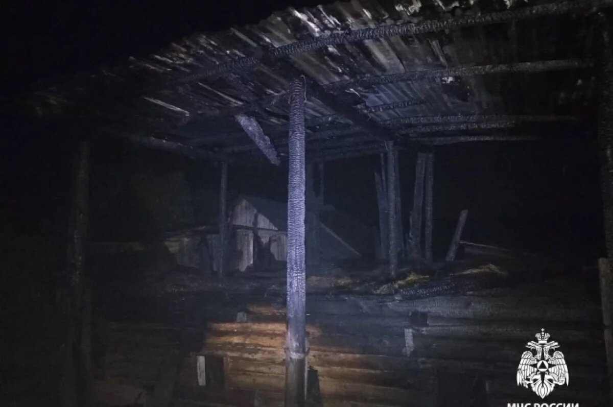    Молния ударила в хлев и уничтожила хозяйство в Удмуртии