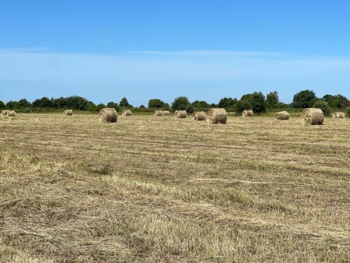    Фото:пресс-служба министерства сельского хозяйства и продовольствия Хабаровского края