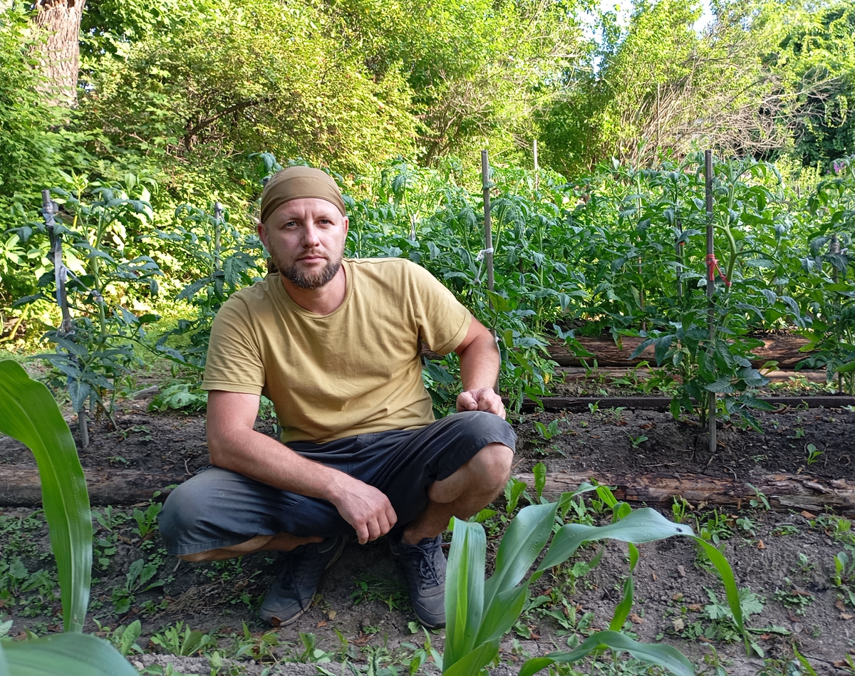 На фоне огорода. На фото вообще не видно, насколько высокие и толстые кусты томатов