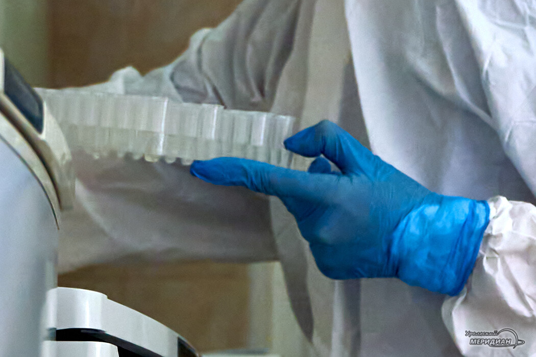    Фото Лидия Аникина © ИА «Уральский меридиан»