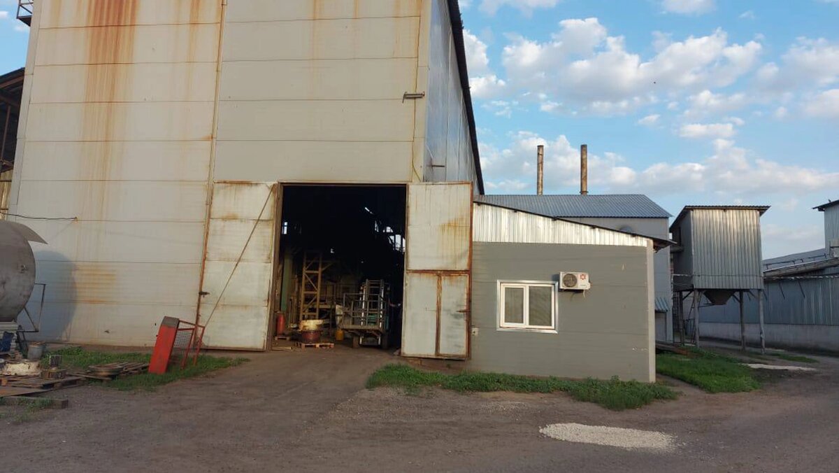   @alplotnikov / Telegram