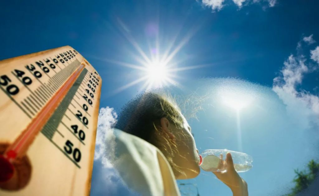    фото: открытые источники Редактор