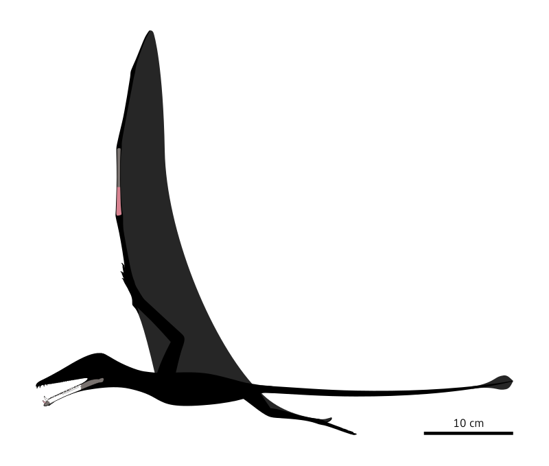 Прорисовка известного материала