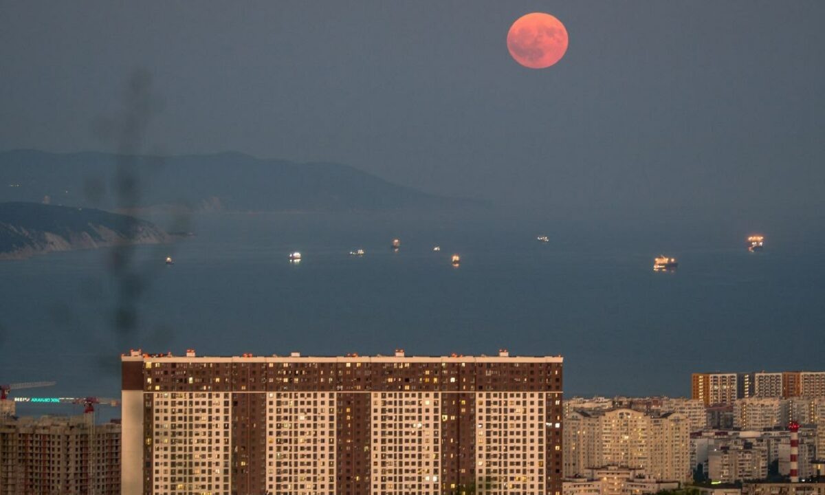    Фото t.me/Sega_Black_Sea