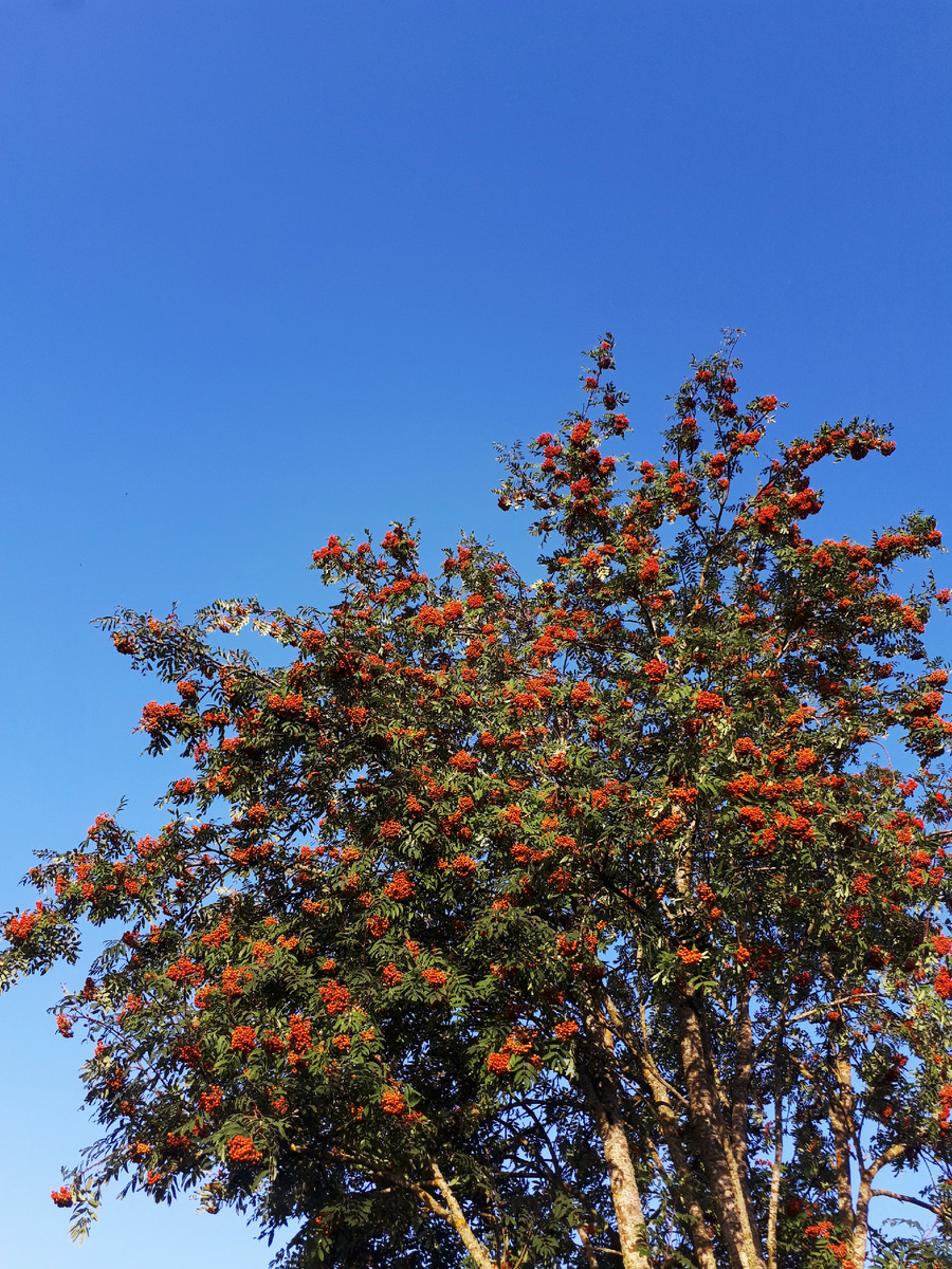 Фото автора 11.07.2025г.