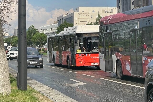    На некоторых маршрутах этим летом сменились перевозчики. Фото: АиФ/ Дмитрий Шадрин