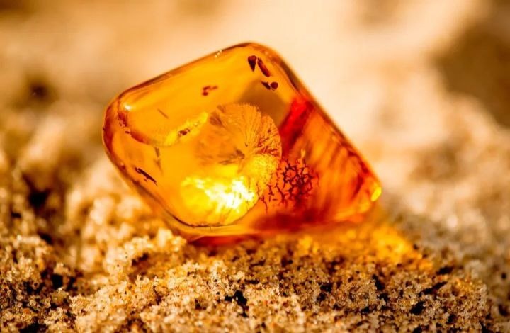 Фото из открытых источников