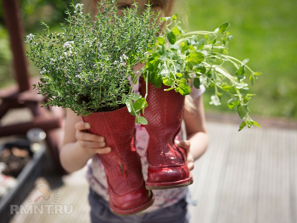 Фото communication.ricardo.ch