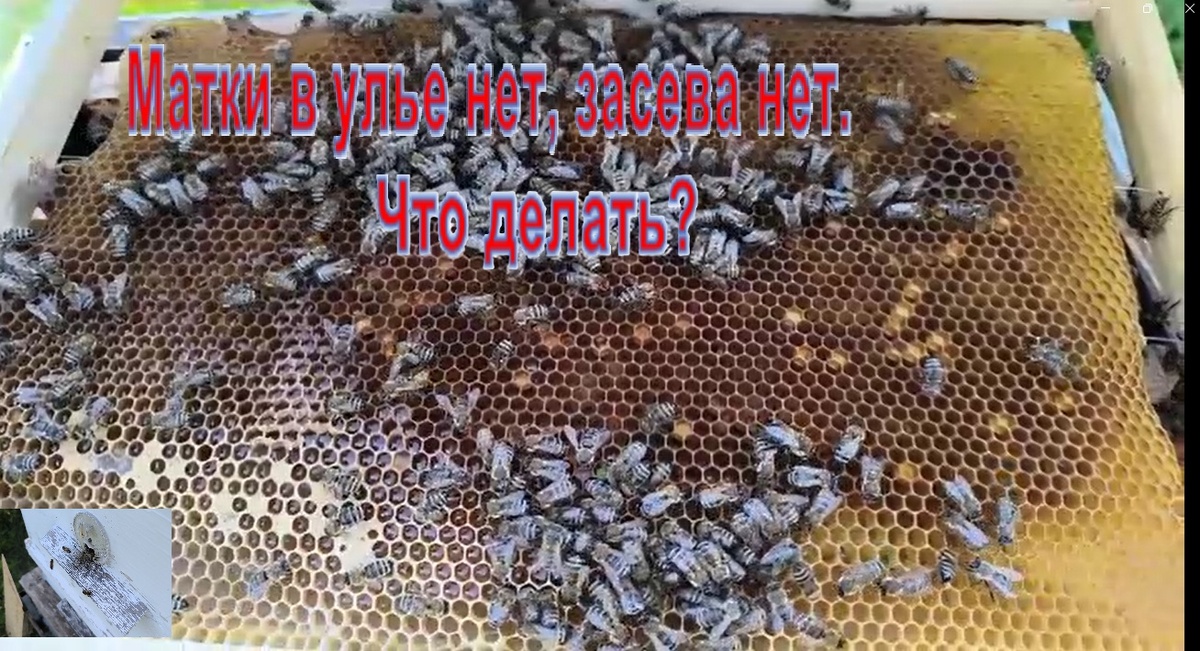 фото из личного архива