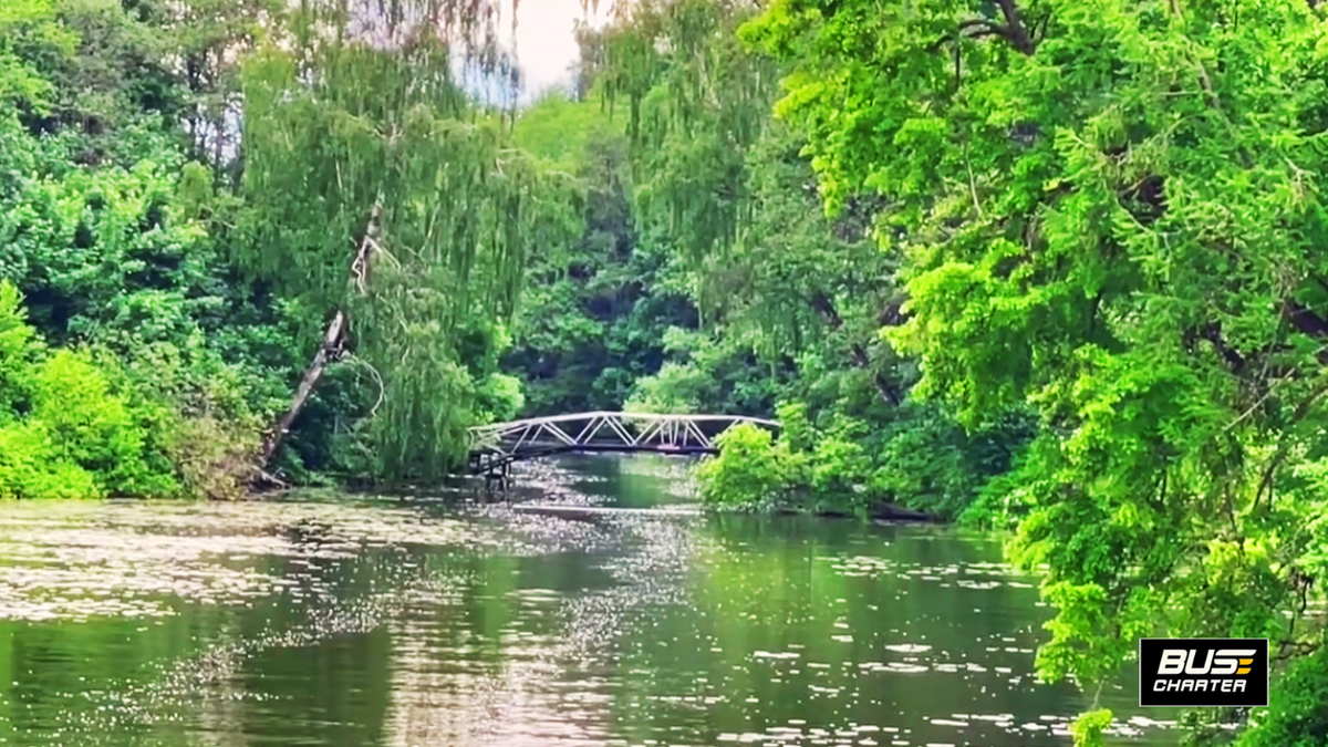 Тур выходного дня из Москвы 2025, Куда поехать отдохнуть 2025