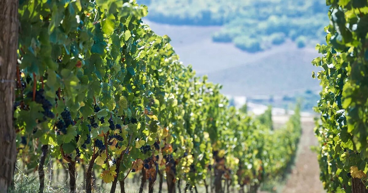 Фото: РИА Новости / Сергей Мальгавко