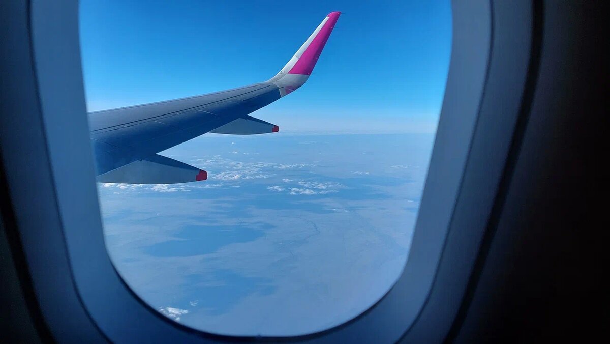 Фото автора. 4 июля 2025 год