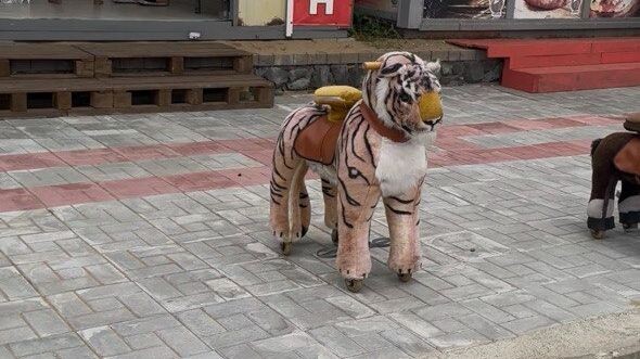     Источник: vostokmedia.com