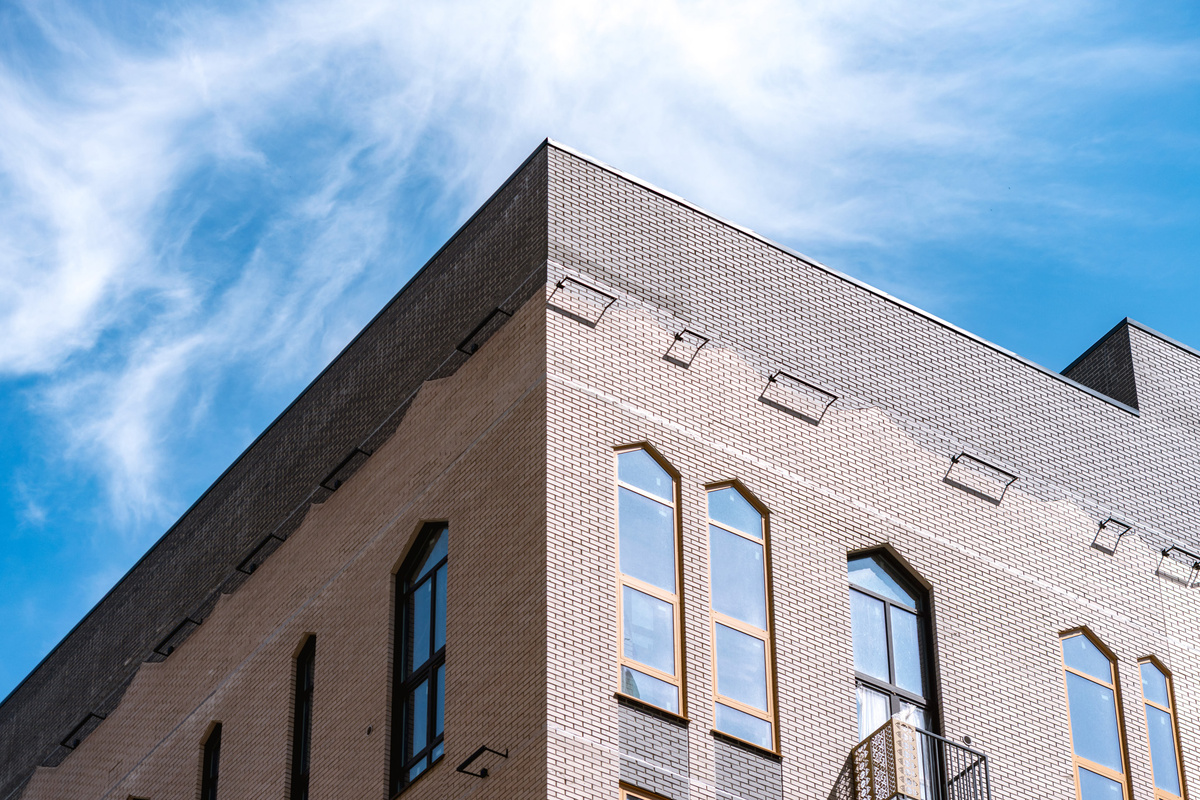 Фото «Стрижей»