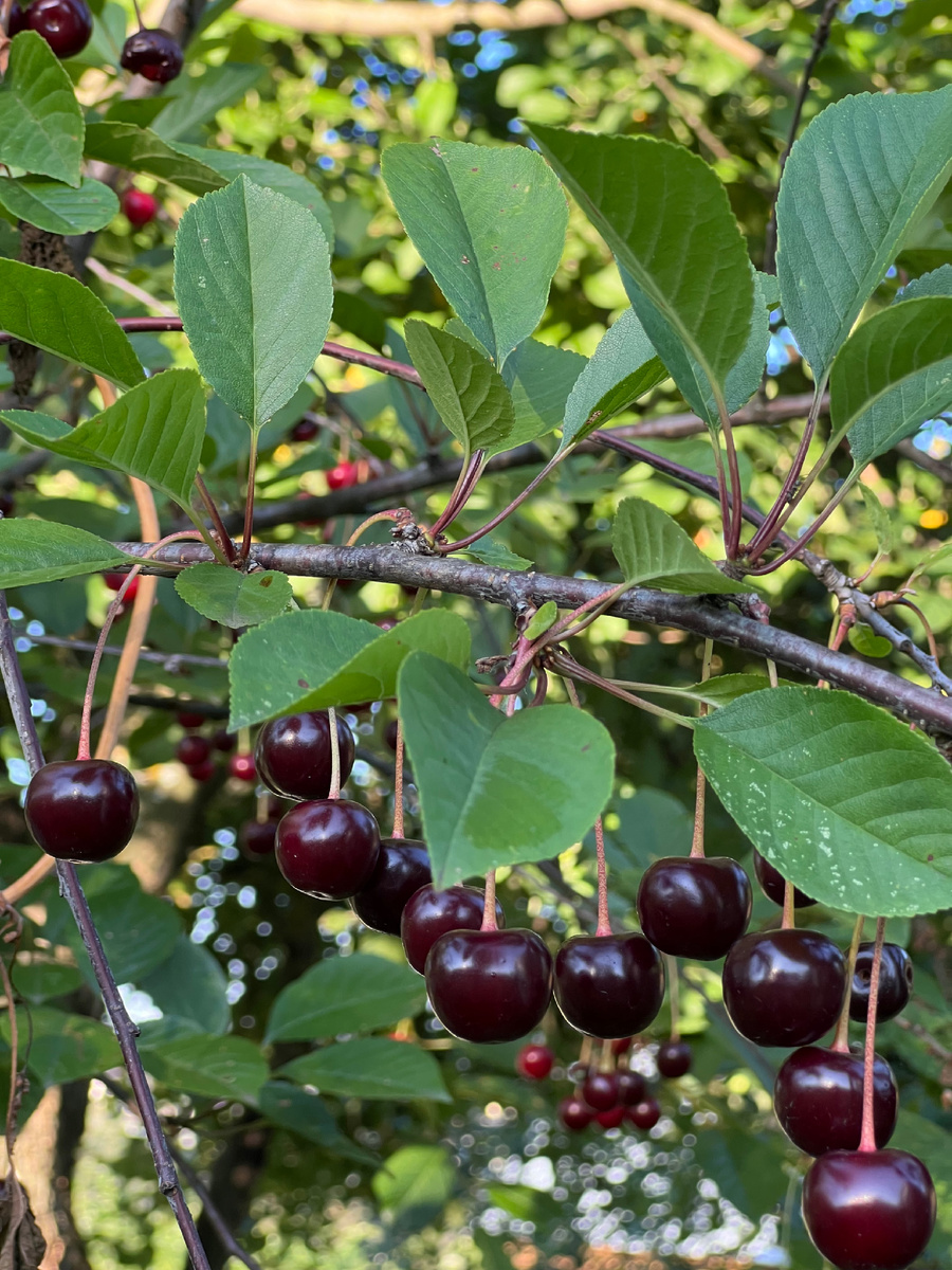  Личное фото. 