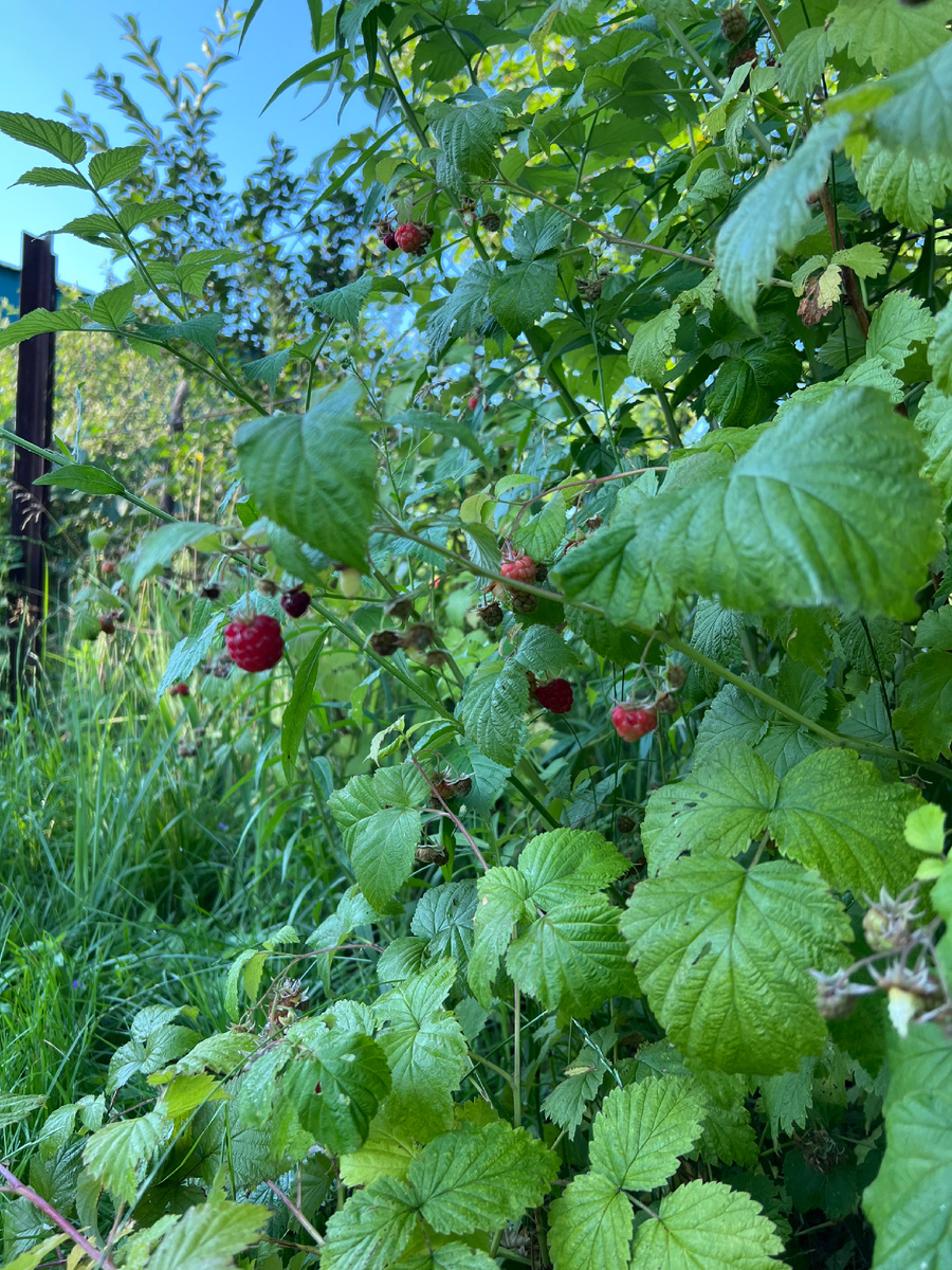 Личное фото. 