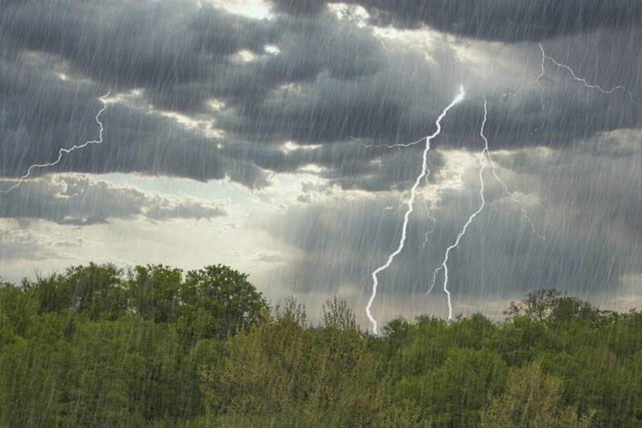     Какой будет погода в Беларуси 11 июля?