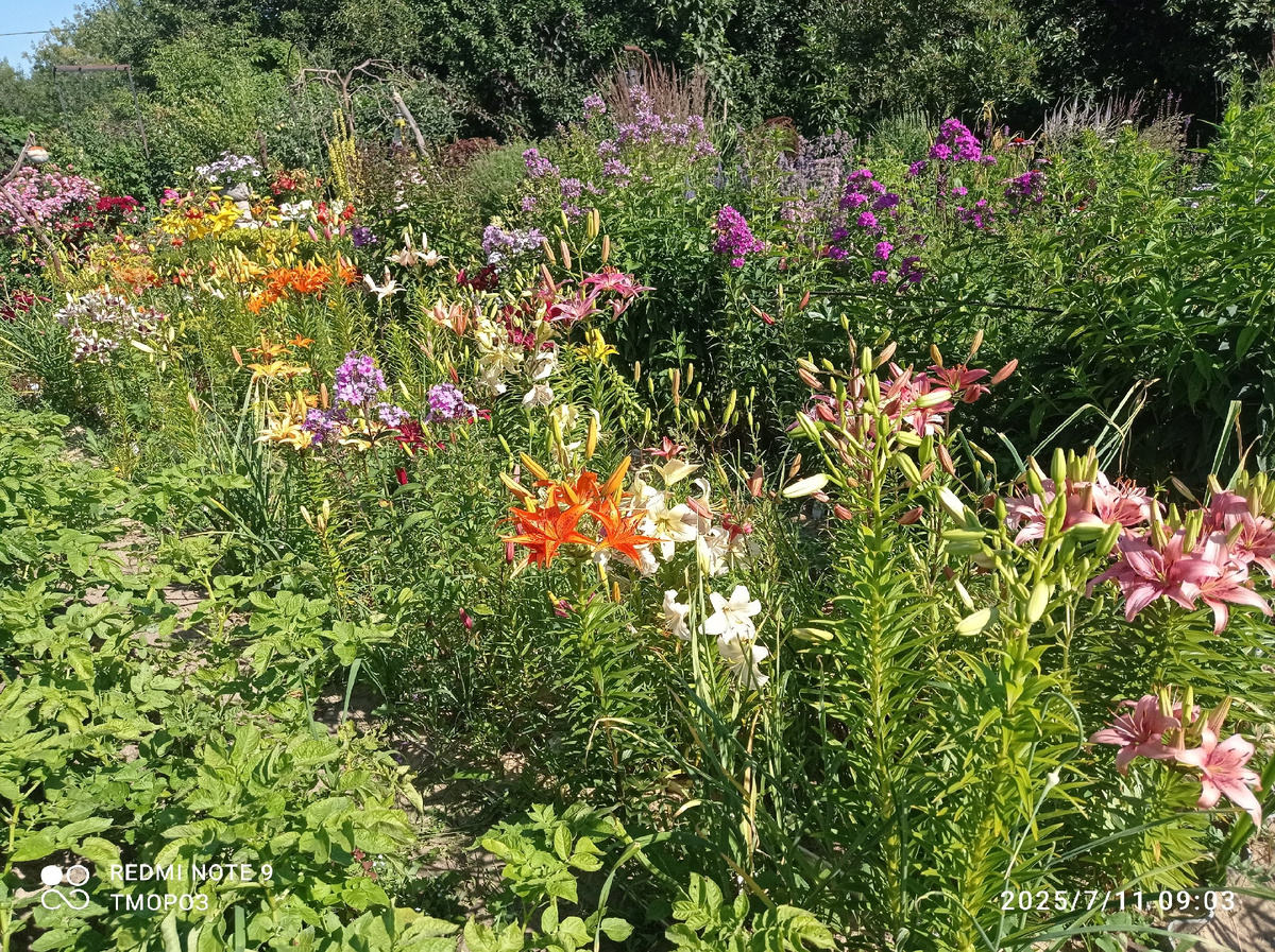 вот про это речь