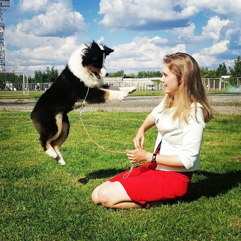 Мисс Баклажан впервые на выставке