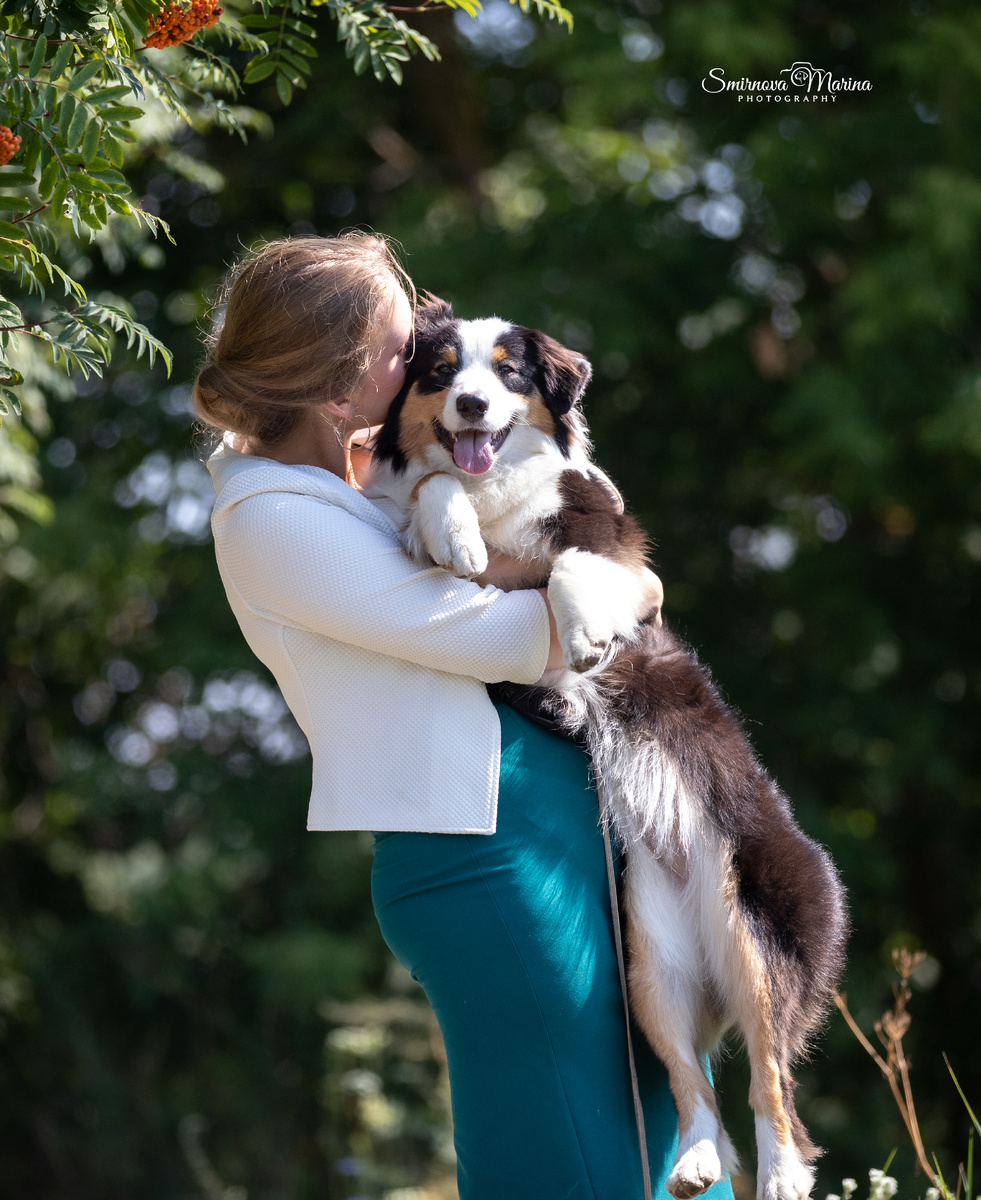 Ручной чемпион