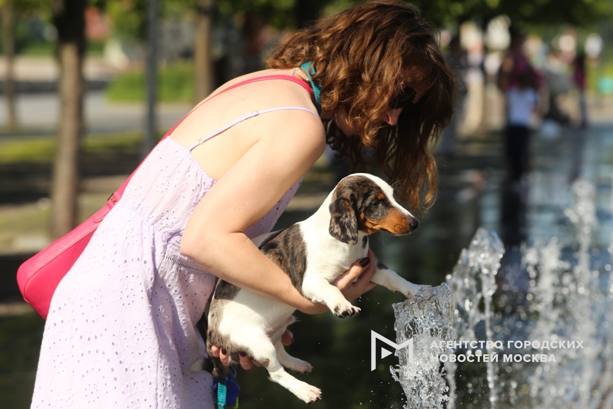 Фотограф: Ярослав Чингаев