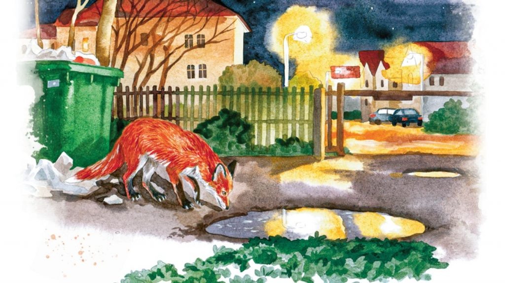     Что почитать? Отрывок из книги «Животные в городе» Екатерина Ушахина